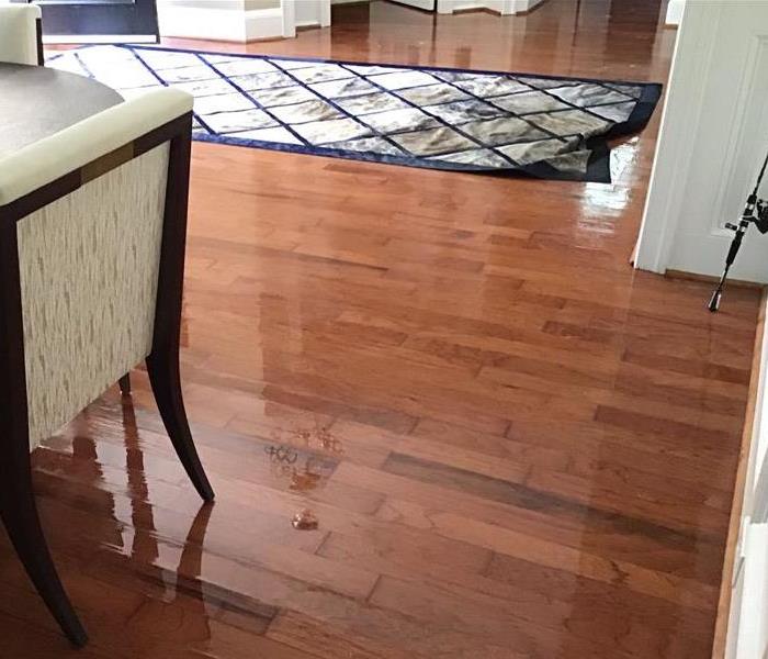 Standing water in dining room with soaked entrance rug