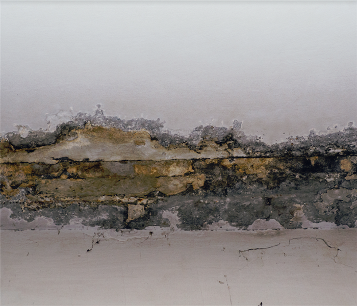 a water damaged wall with mold growing on it