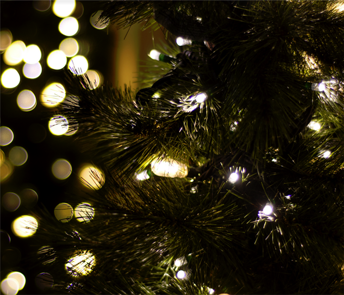 a closeup of a Christmas tree with lights on and around it