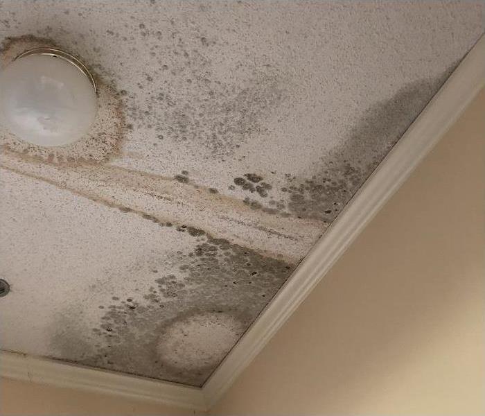 mold damage on ceiling and walls